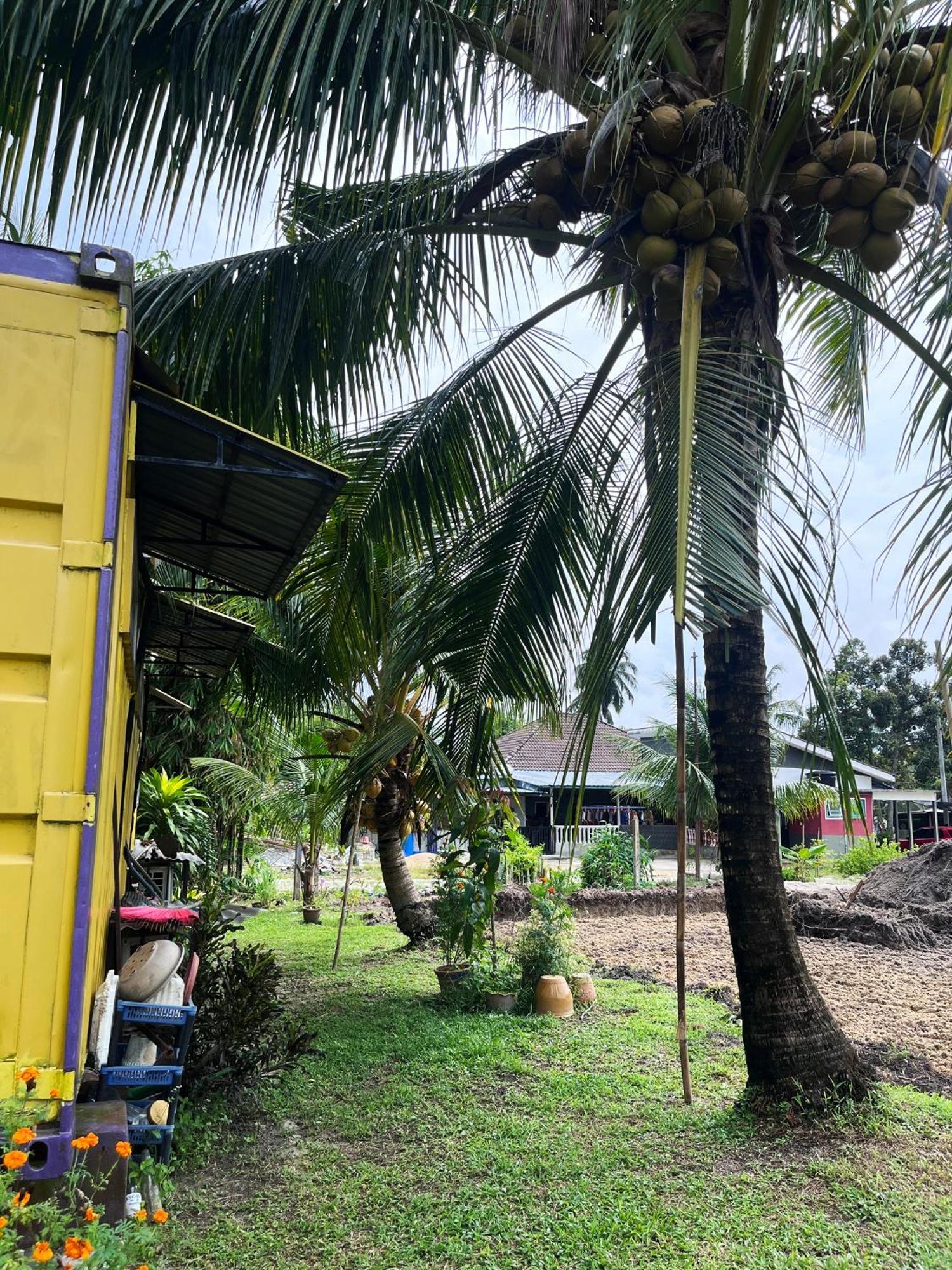 Purple Cube At Lumut Cube Homestay Kontena Luaran gambar